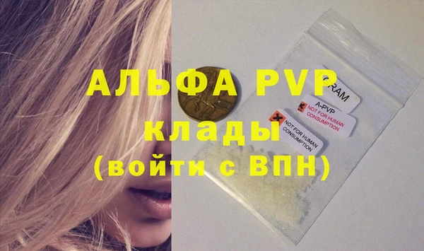 мдпв Богданович