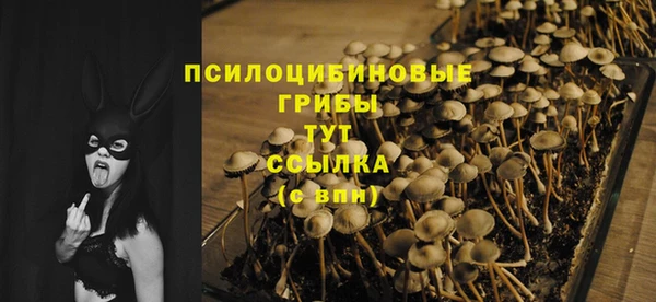 мдпв Богданович