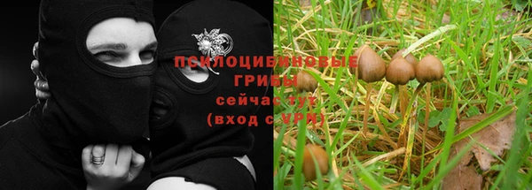 СК Богородск