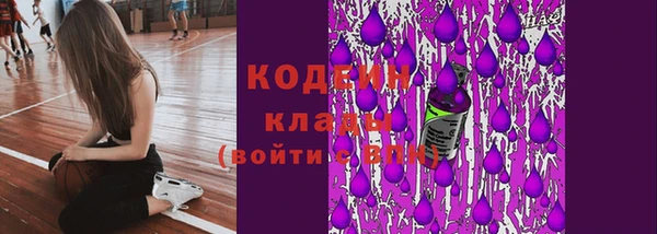 СК Богородск