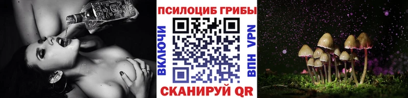Галлюциногенные грибы MAGIC MUSHROOMS  mega tor  Гатчина 